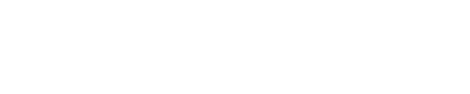 Dynapro