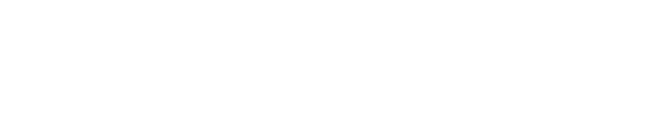 iON
